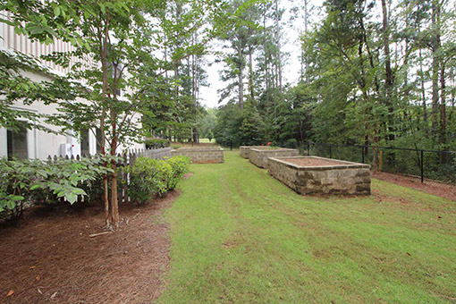 McClellan Community Garden